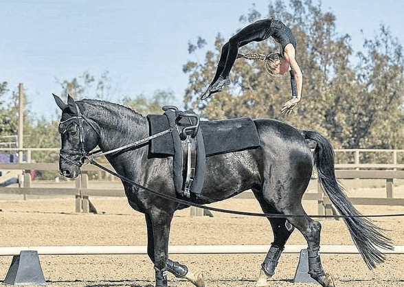 What are the basic moves in equestrian vaulting?