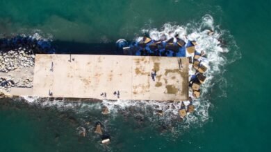 adult entertainment streaming platform