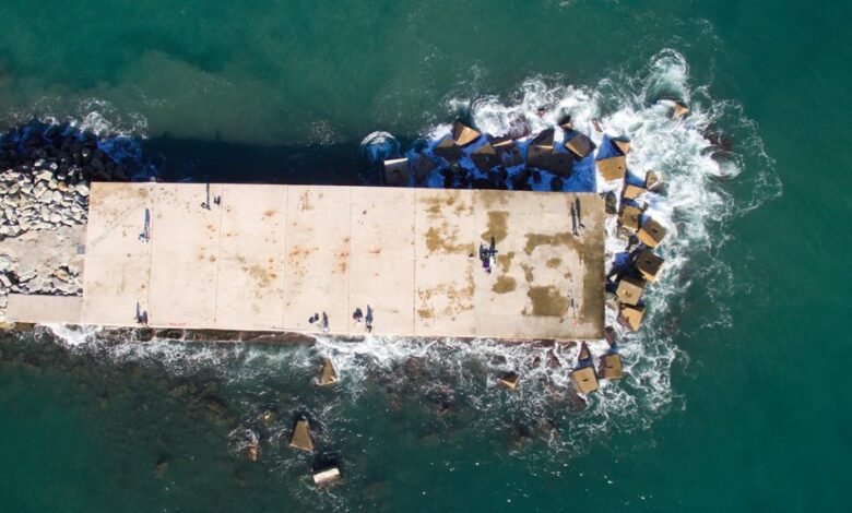 adult entertainment streaming platform