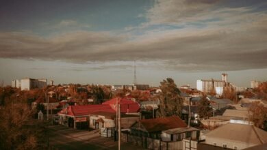 gondotec latest news summary