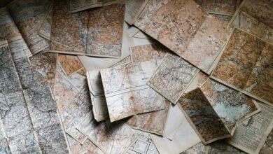 imagefap categories overview guide