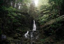 nova stream 651750690 vision nova stream vision id