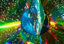 stellar prism 983441042 apex flow