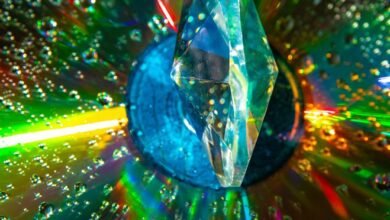 stellar prism 983441042 apex flow