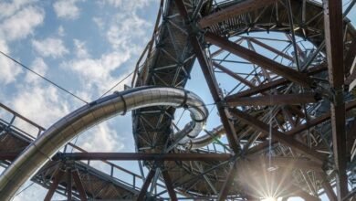 vertex beam dynamic path 919611564